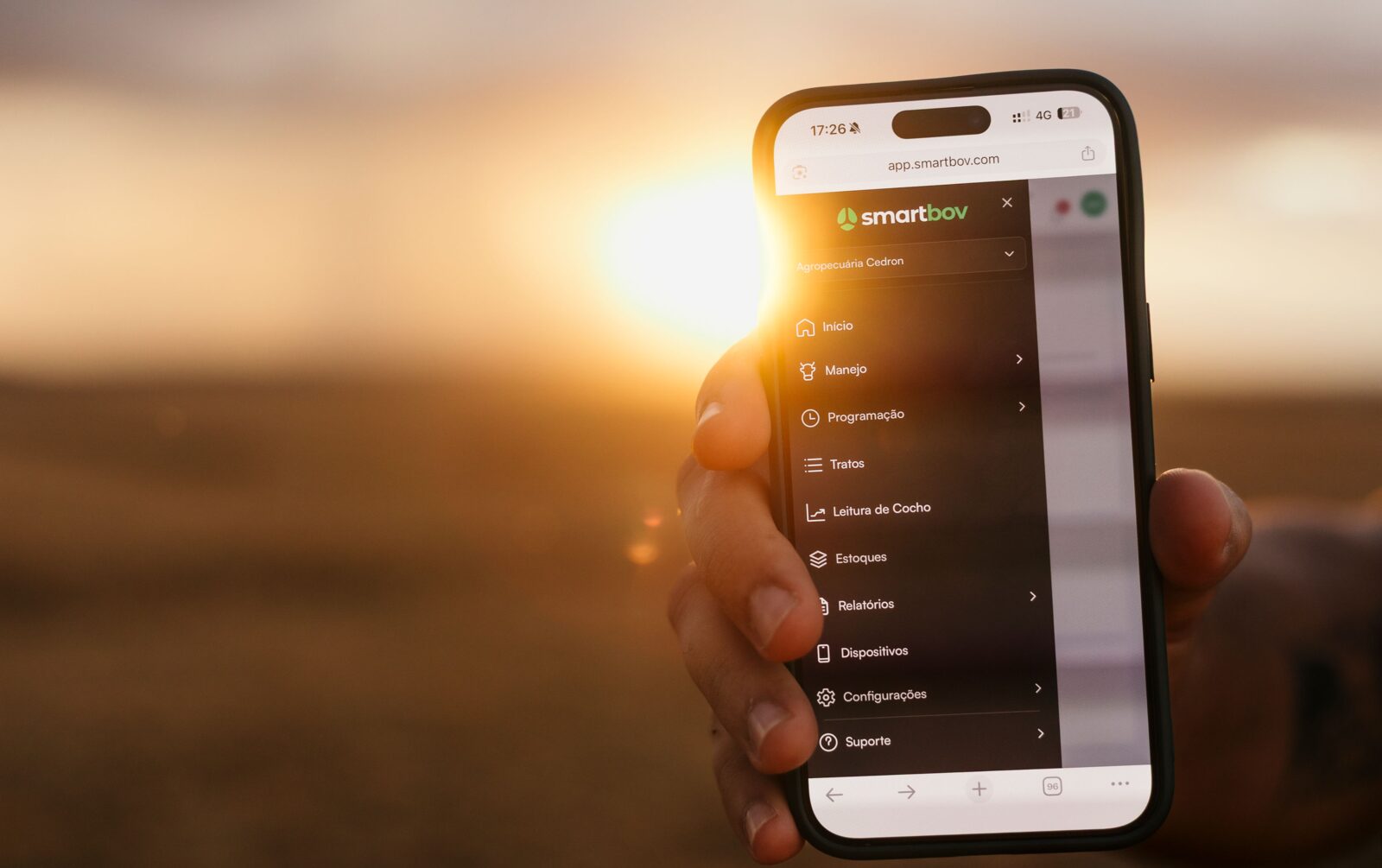 Tecnologia no confinamento: como reduzir custos do pequeno ao grande produtor